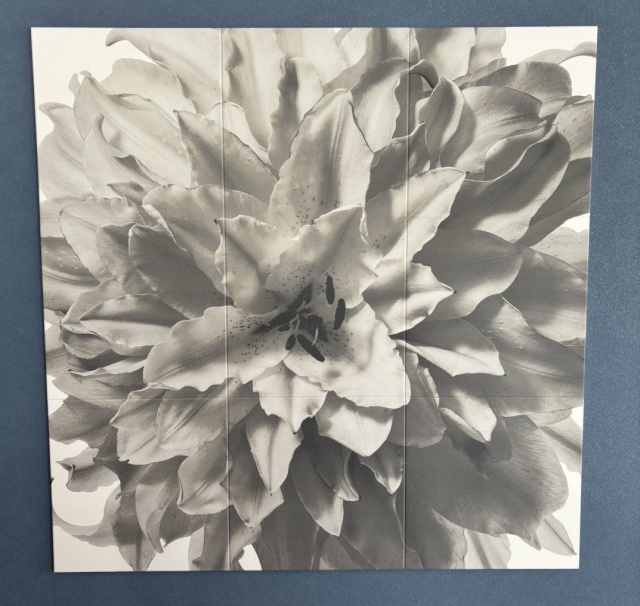 LIXIL エコカラットセルフ　ECSF‐9090S/14